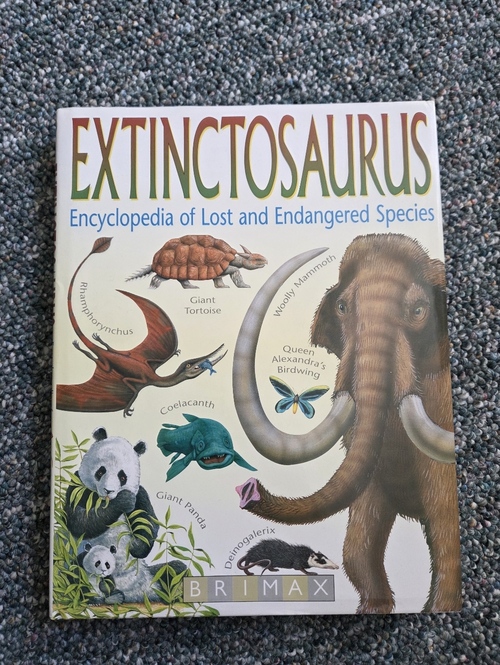 Extinctosaurus Hardcover Book